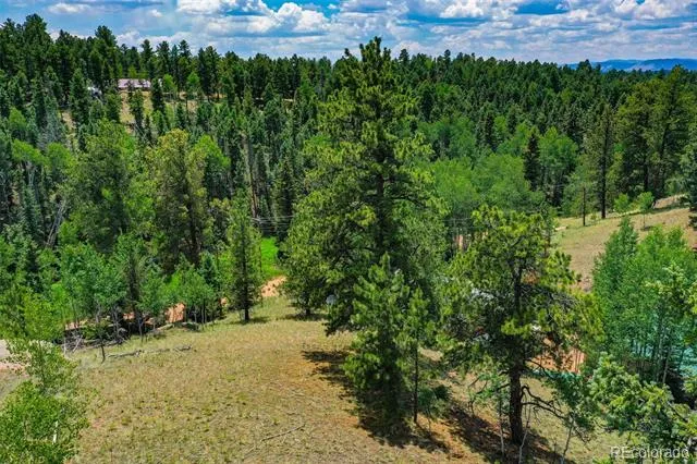 525 Spring Valley Lane Florissant, CO 80816