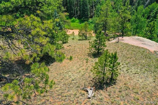 525 Spring Valley Lane Florissant, CO 80816