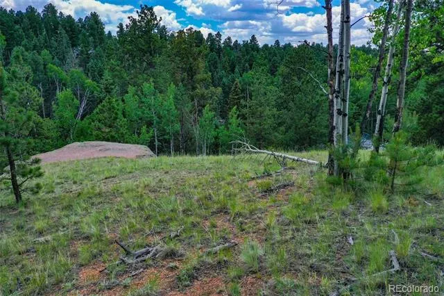525 Spring Valley Lane Florissant, CO 80816