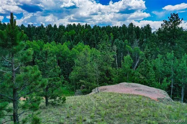 525 Spring Valley Lane Florissant, CO 80816