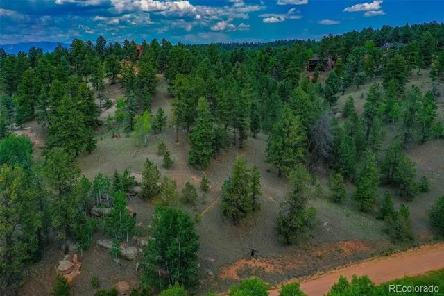 525 Spring Valley Lane Florissant, CO 80816