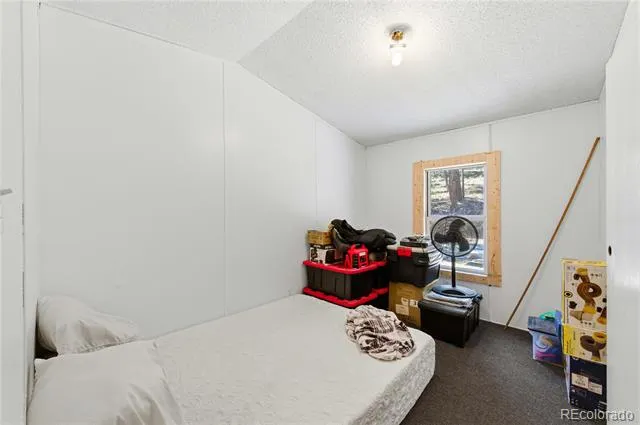 987 14th Trail Cotopaxi, CO 81223