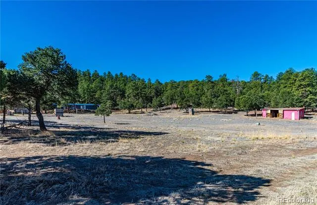 987 14th Trail Cotopaxi, CO 81223