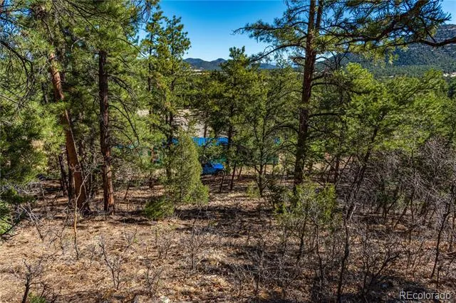987 14th Trail Cotopaxi, CO 81223