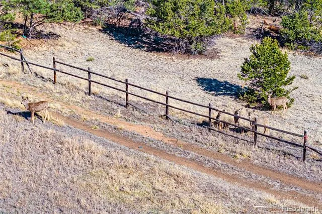 987 14th Trail Cotopaxi, CO 81223
