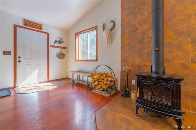 182 Rachaels Place Alma, CO 80420