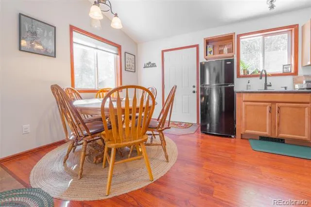 182 Rachaels Place Alma, CO 80420