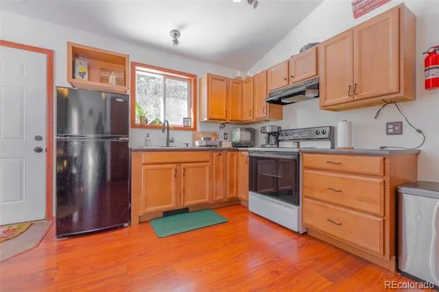 182 Rachaels Place Alma, CO 80420