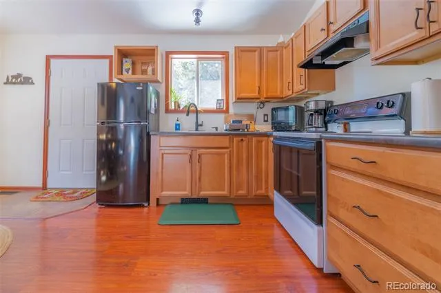 182 Rachaels Place Alma, CO 80420