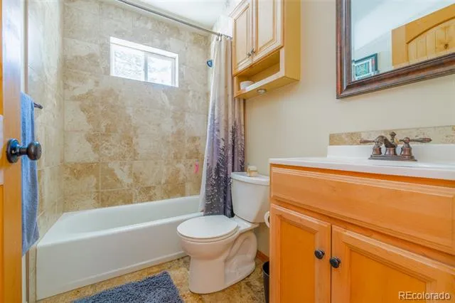 182 Rachaels Place Alma, CO 80420