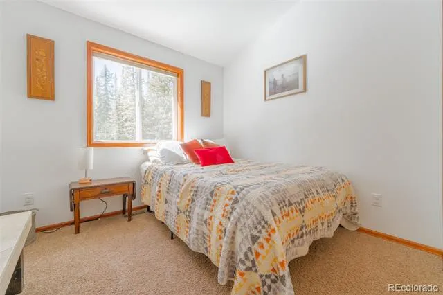 182 Rachaels Place Alma, CO 80420
