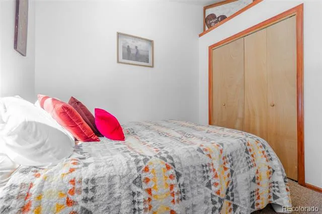 182 Rachaels Place Alma, CO 80420