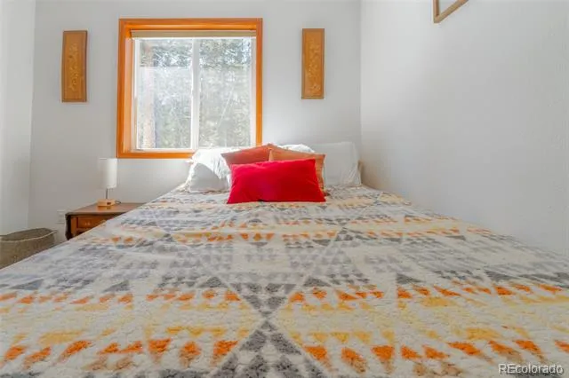 182 Rachaels Place Alma, CO 80420