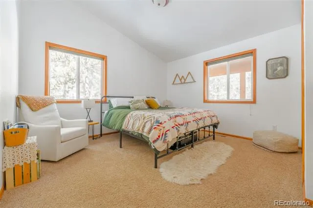 182 Rachaels Place Alma, CO 80420