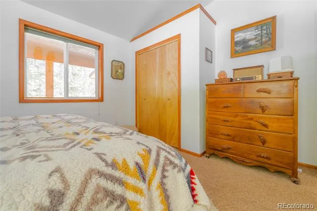 182 Rachaels Place Alma, CO 80420