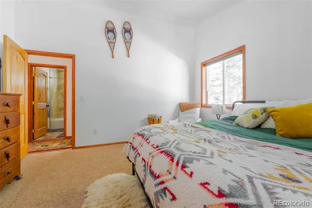 182 Rachaels Place Alma, CO 80420