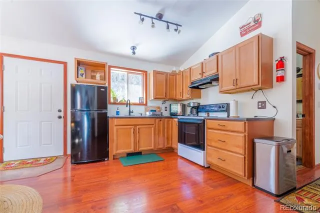 182 Rachaels Place Alma, CO 80420