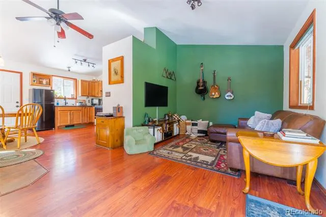 182 Rachaels Place Alma, CO 80420