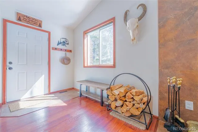 182 Rachaels Place Alma, CO 80420