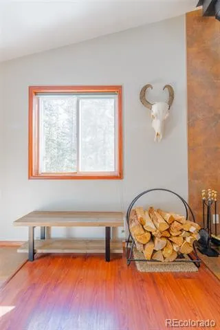 182 Rachaels Place Alma, CO 80420