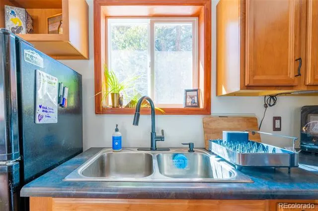 182 Rachaels Place Alma, CO 80420