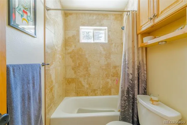 182 Rachaels Place Alma, CO 80420