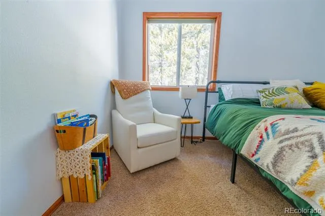 182 Rachaels Place Alma, CO 80420