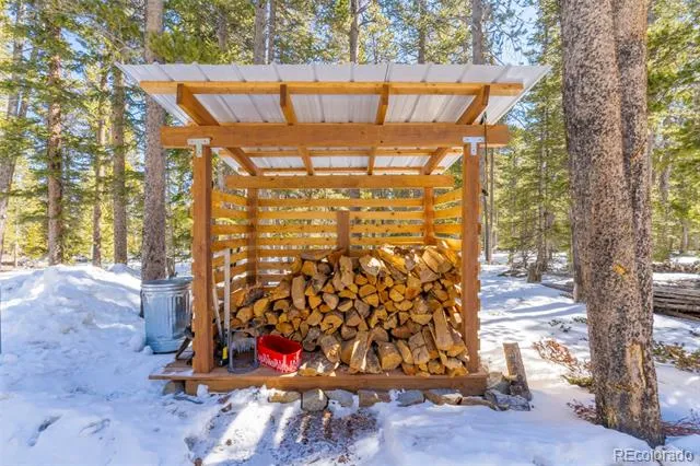 182 Rachaels Place Alma, CO 80420