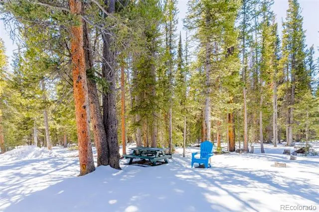 182 Rachaels Place Alma, CO 80420