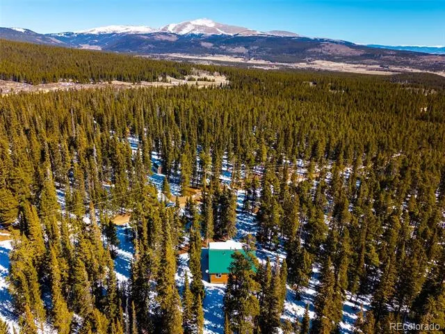 182 Rachaels Place Alma, CO 80420
