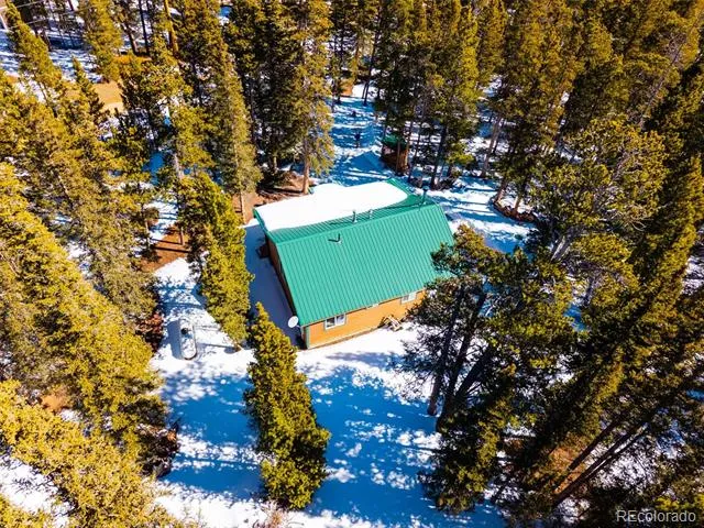 182 Rachaels Place Alma, CO 80420