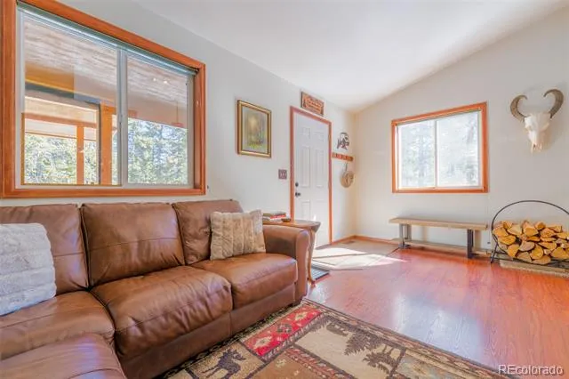 182 Rachaels Place Alma, CO 80420