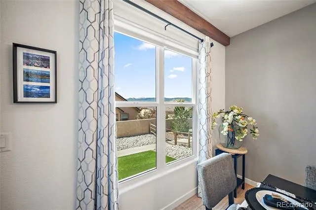1485 Captiva Beach Lane Monument, CO 80132