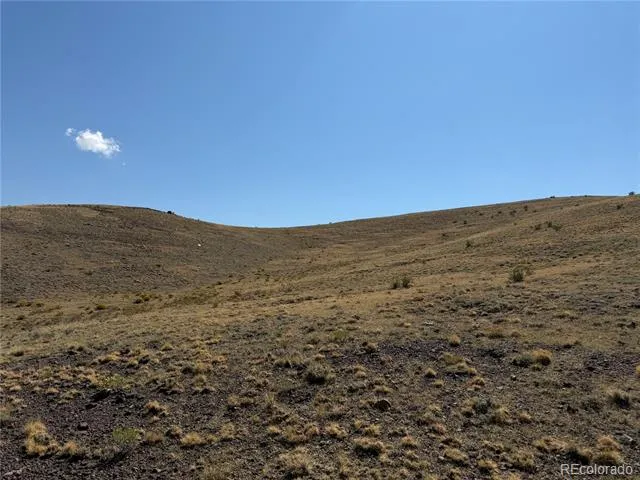 0 Cahokia Road Hartsel, CO 80449