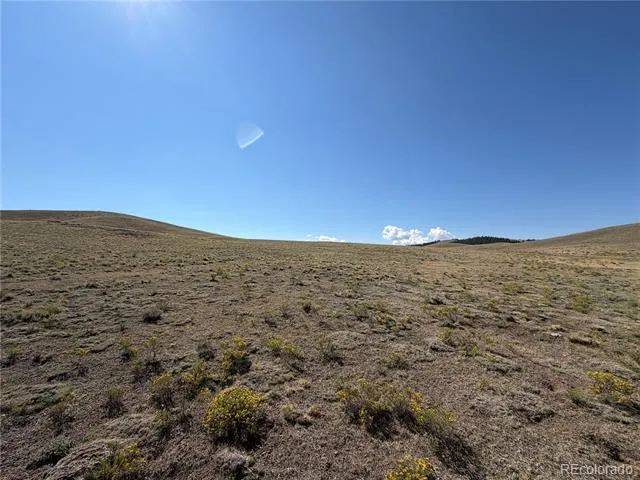 0 Cahokia Road Hartsel, CO 80449