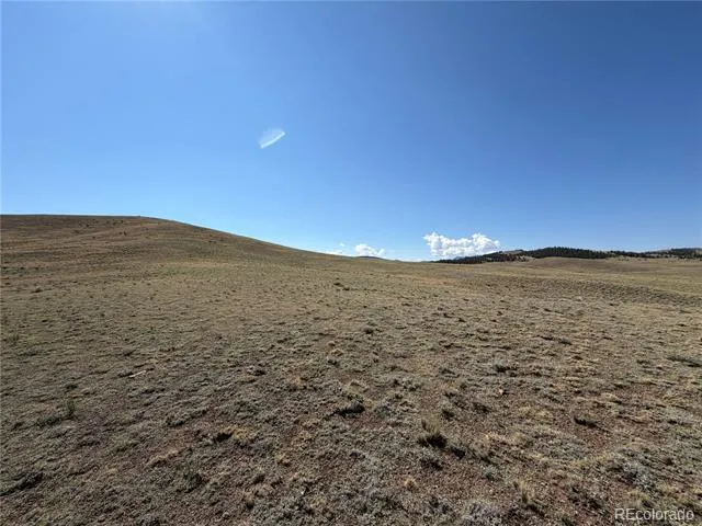 0 Cahokia Road Hartsel, CO 80449