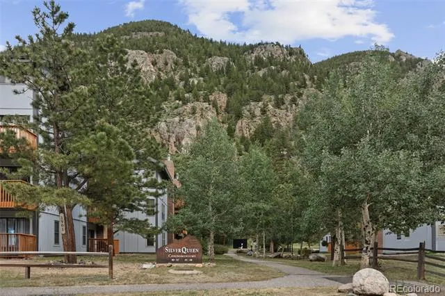 1901 Clear Creek Drive #E102 Georgetown, CO 80444