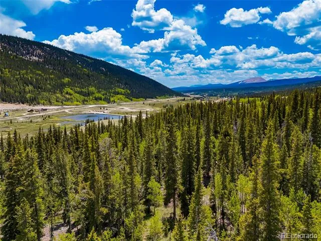 522 Quartzville Road Alma, CO 80420