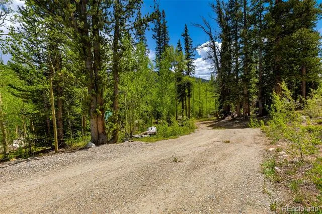 522 Quartzville Road Alma, CO 80420