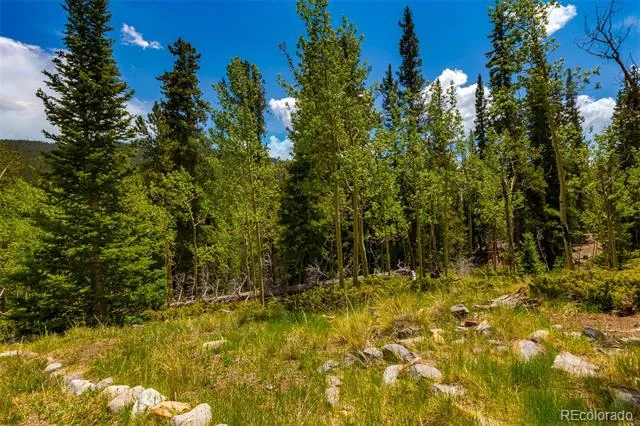 522 Quartzville Road Alma, CO 80420