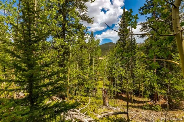 522 Quartzville Road Alma, CO 80420