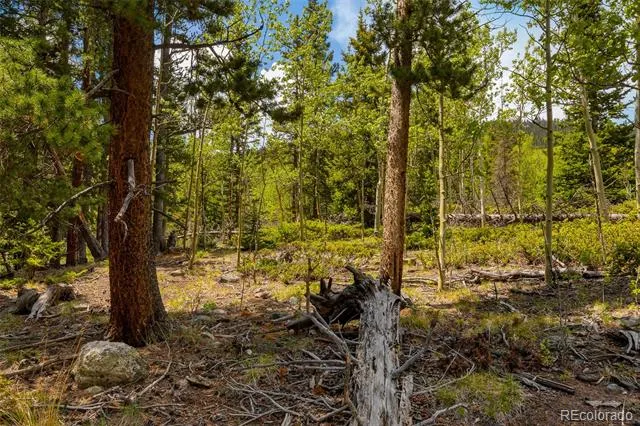 522 Quartzville Road Alma, CO 80420