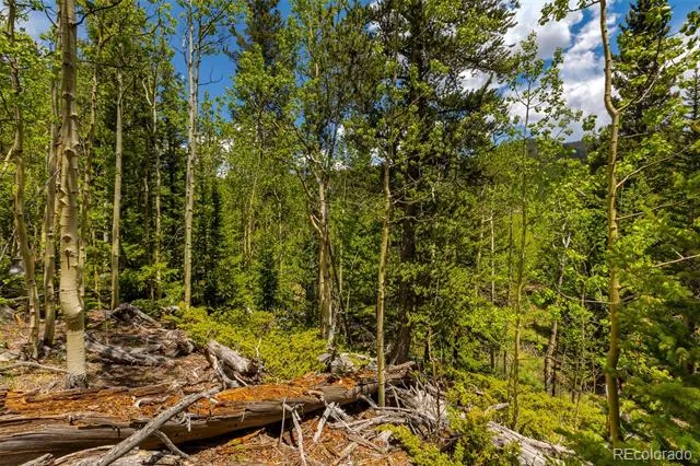 522 Quartzville Road Alma, CO 80420