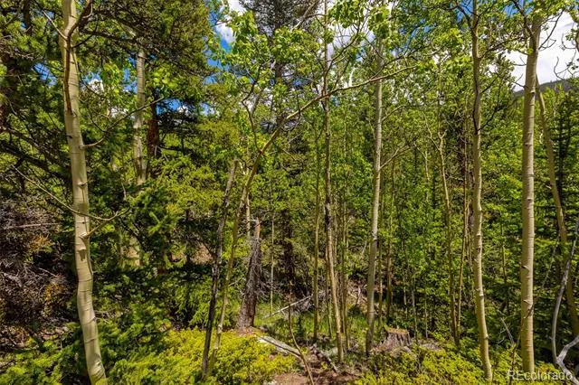 522 Quartzville Road Alma, CO 80420