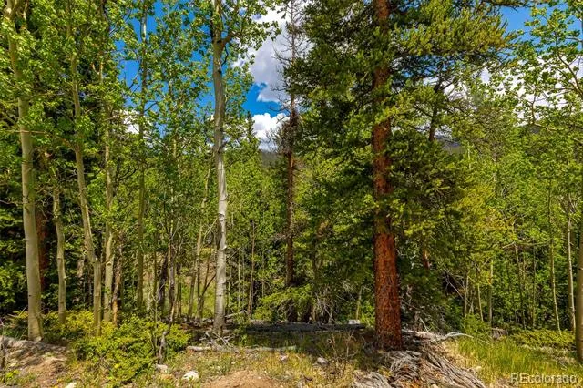 522 Quartzville Road Alma, CO 80420