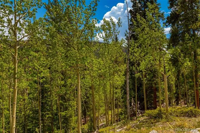 522 Quartzville Road Alma, CO 80420