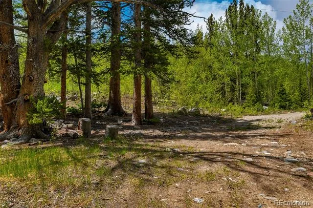 522 Quartzville Road Alma, CO 80420