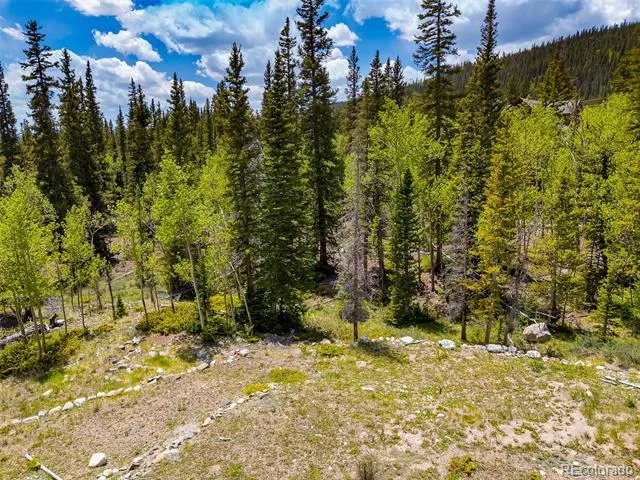 522 Quartzville Road Alma, CO 80420