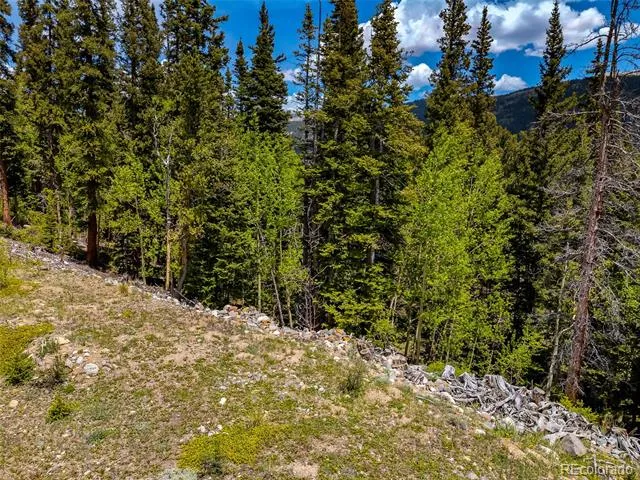522 Quartzville Road Alma, CO 80420