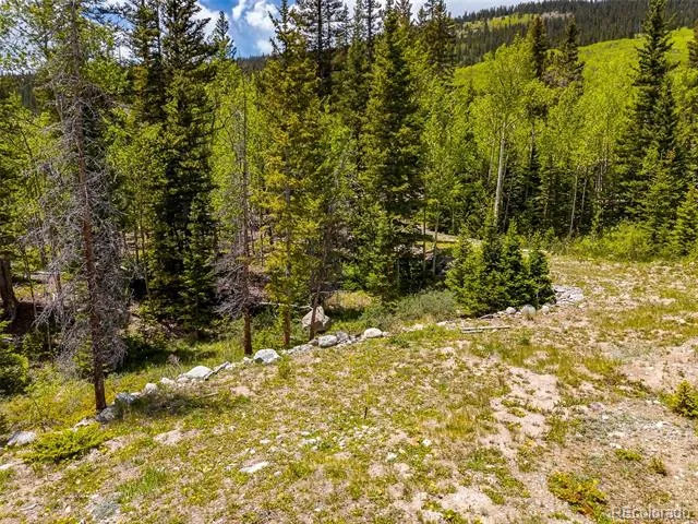 522 Quartzville Road Alma, CO 80420